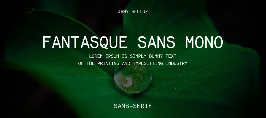 Fantasque Sans Mono Font Family