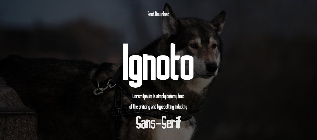 Ignoto Font Family