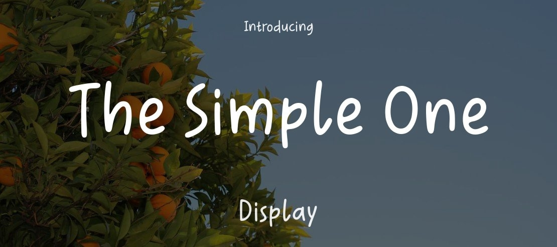 The Simple One Font Family