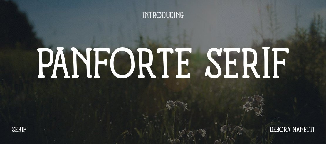 Panforte Serif Font Family