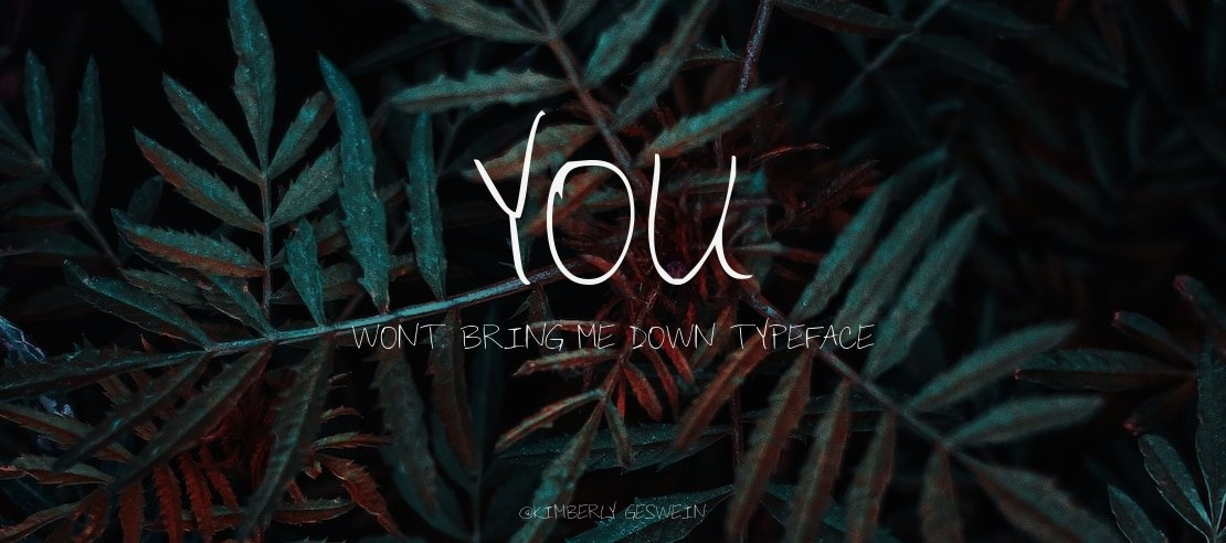 You Wont Bring Me Down Font Family