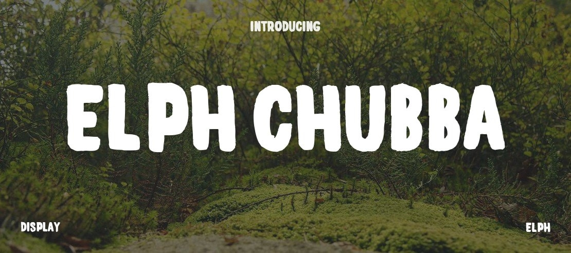 Elph Chubba Font