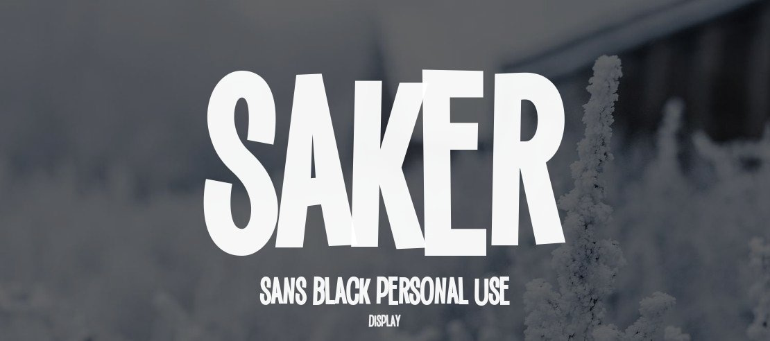 Saker Sans Black PERSONAL USE Font Family