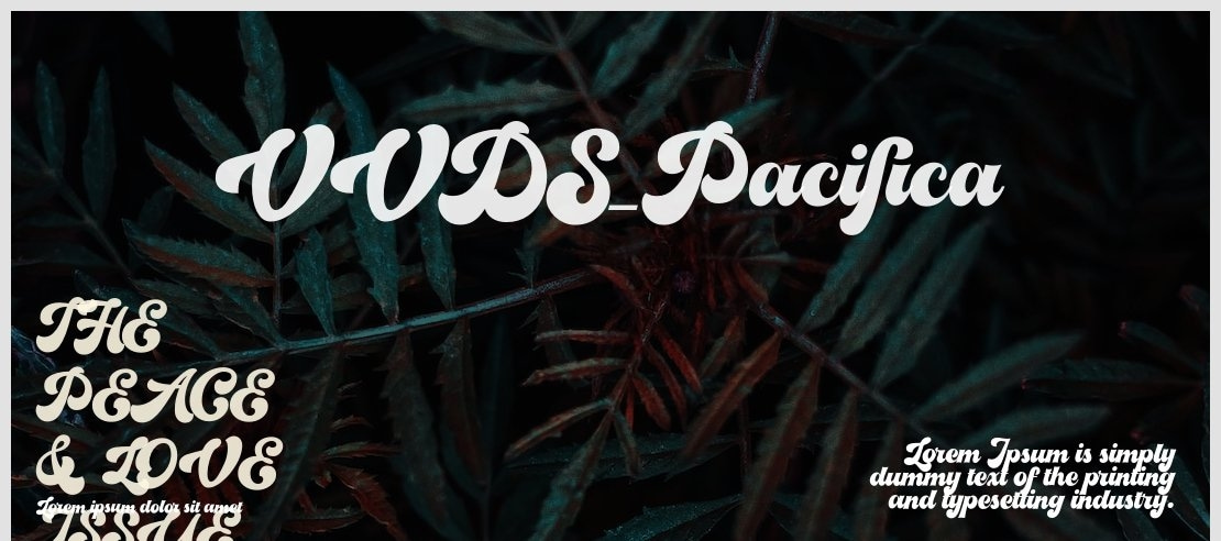 VVDS_Pacifica Font Family