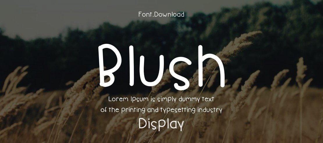 Blush Font