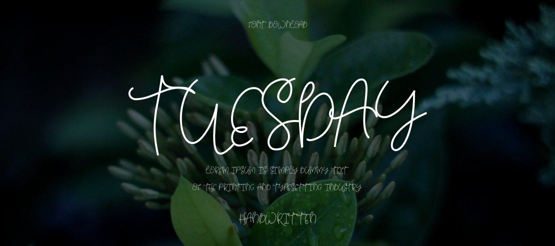 Tuesday Font