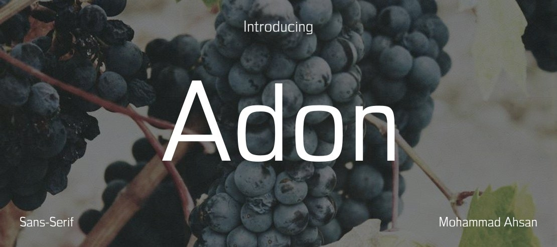 Adon Font Family