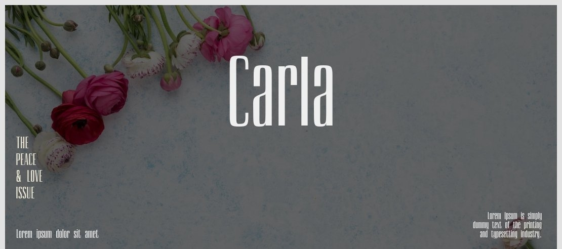 Carla Font Family
