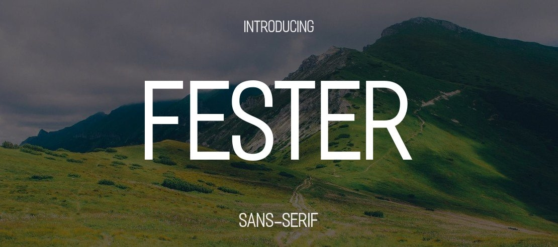 Fester Font Family