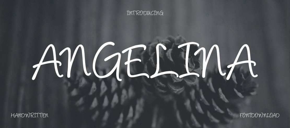 Angelina Font