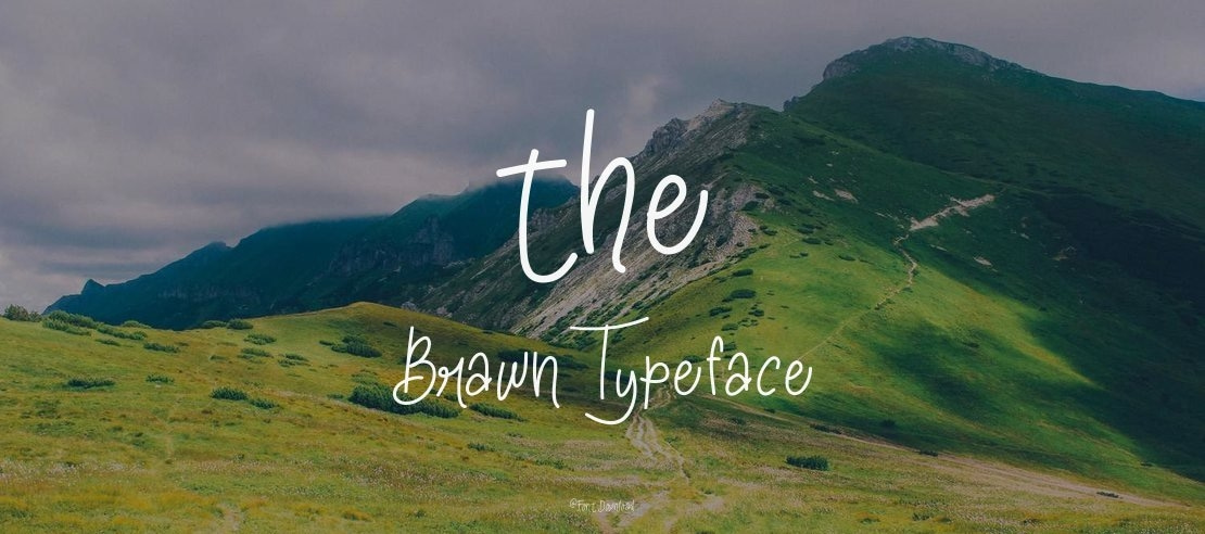 the Brawn Font