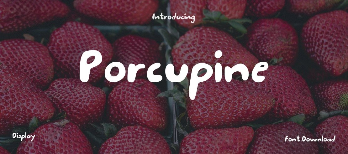 Porcupine Font