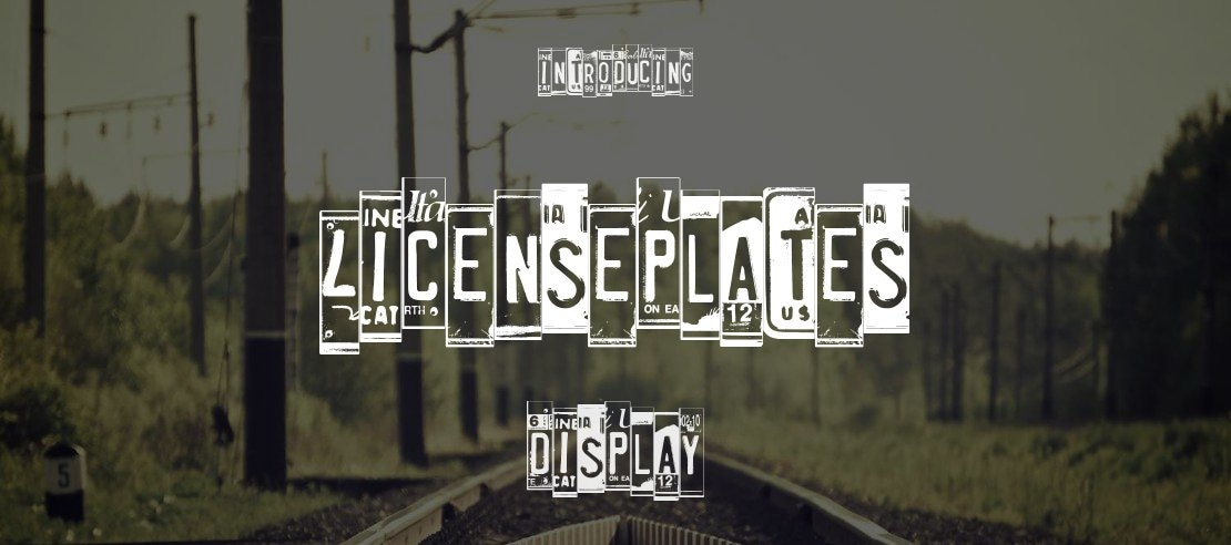 LicensePlates Font