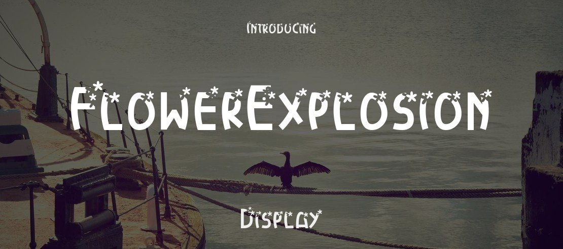 FlowerExplosion Font