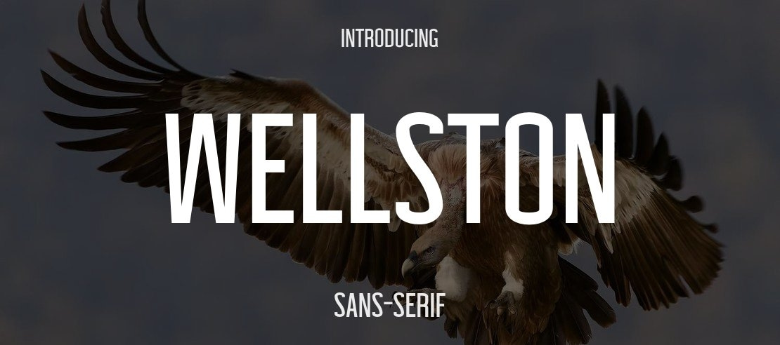 Wellston Font Family