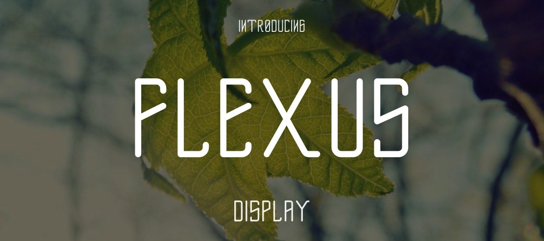Flexus Font Family