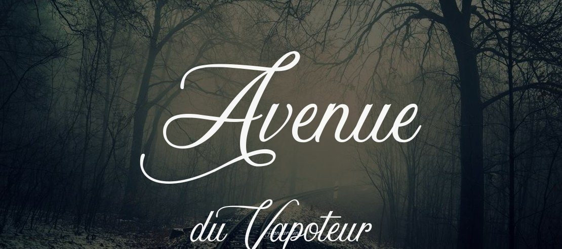 Avenue du Vapoteur Font