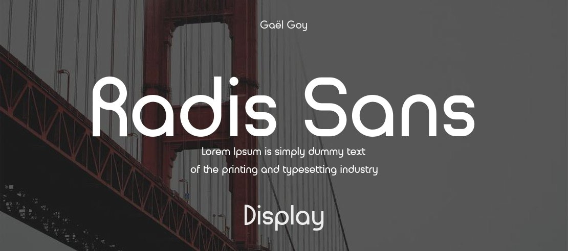 Radis Sans Font