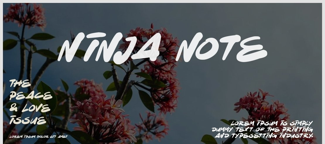 Ninja Note Font