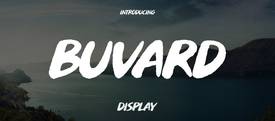 Buvard Font