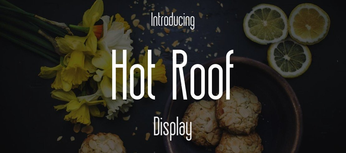 Hot  Roof Font