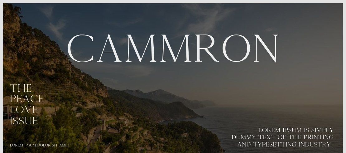 Cammron Font