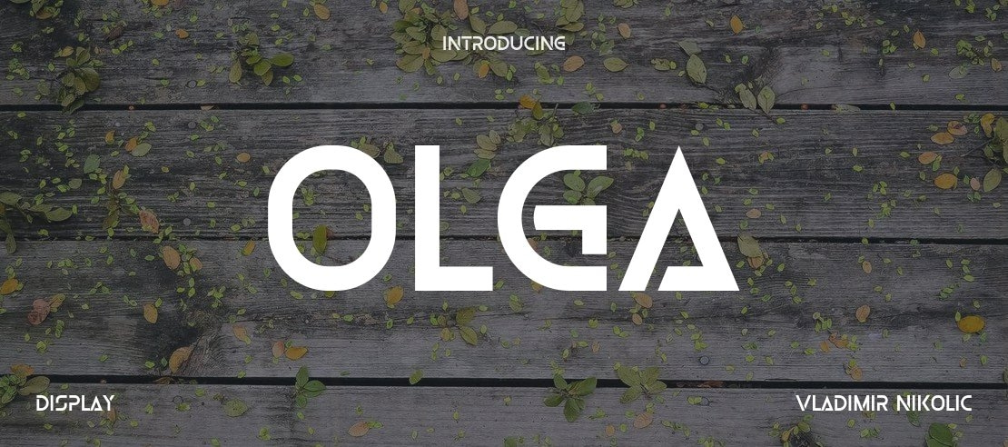 Olga Font Family