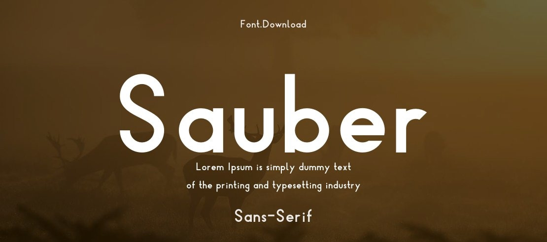 Sauber Font Family