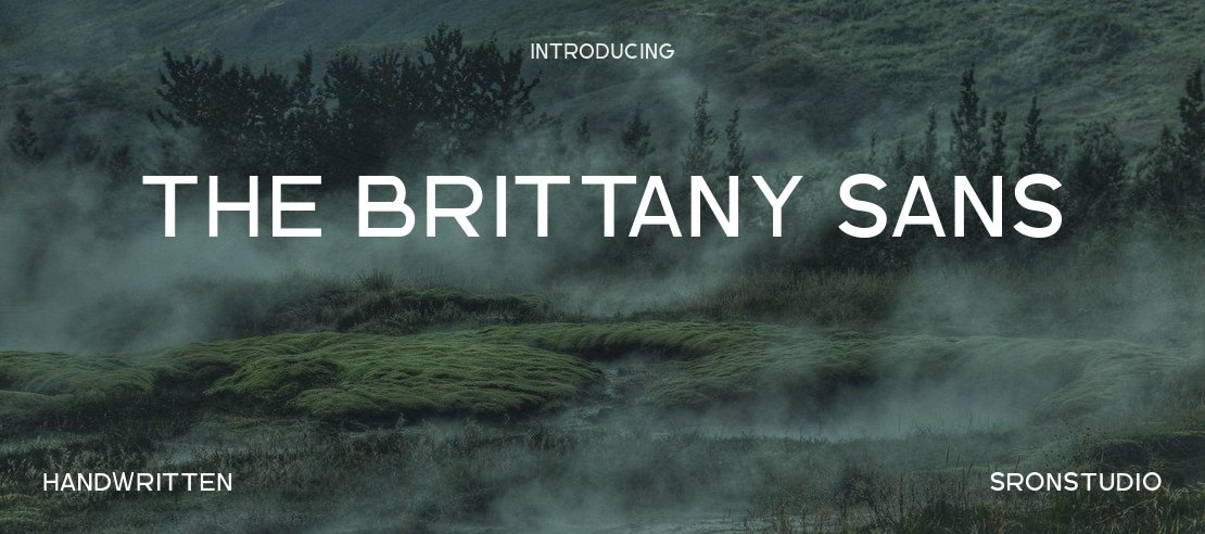 The Brittany Sans Font Family