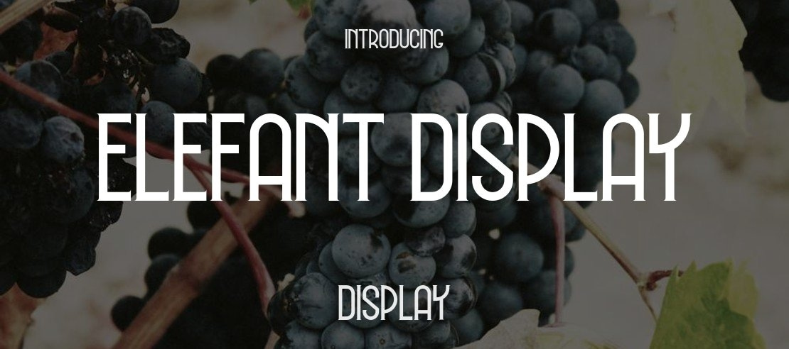 Elefant Display Font