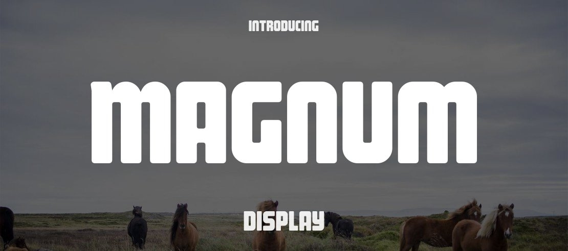 Magnum Font