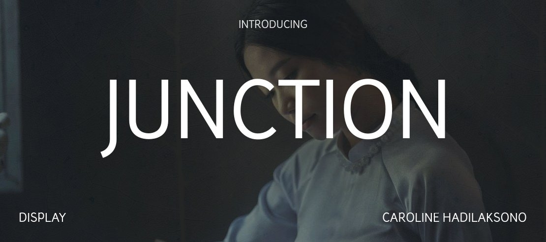 Junction Font Family