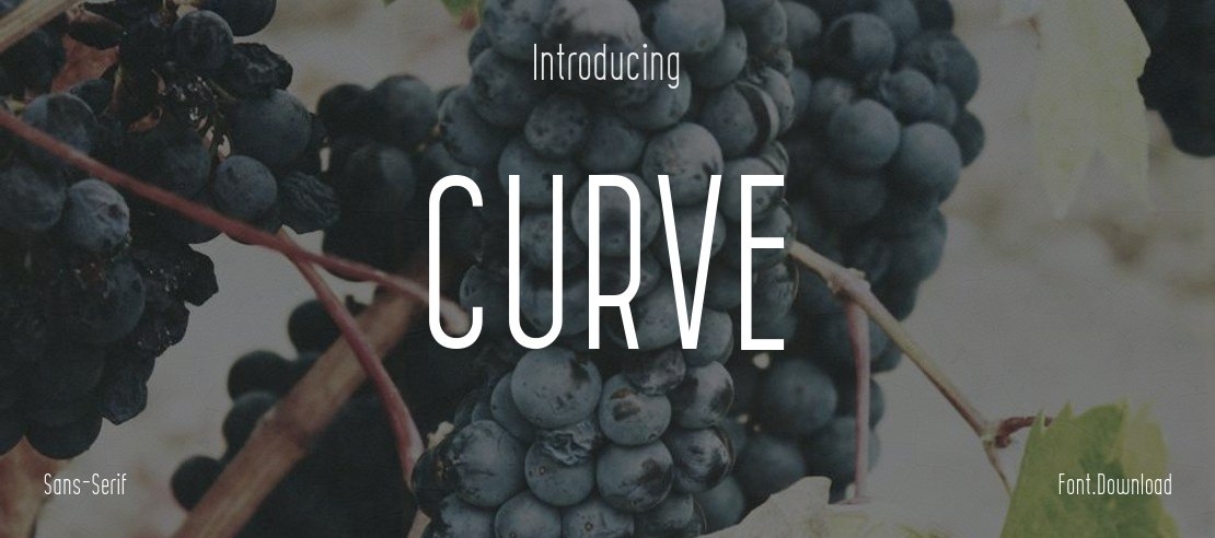 CURVE Font