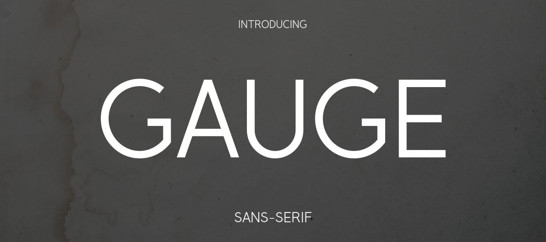 Gauge Font Family