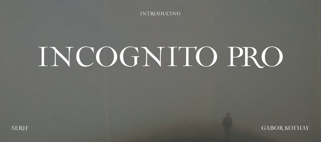 Incognito Pro Font Family