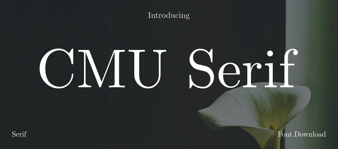 CMU Serif Font Family