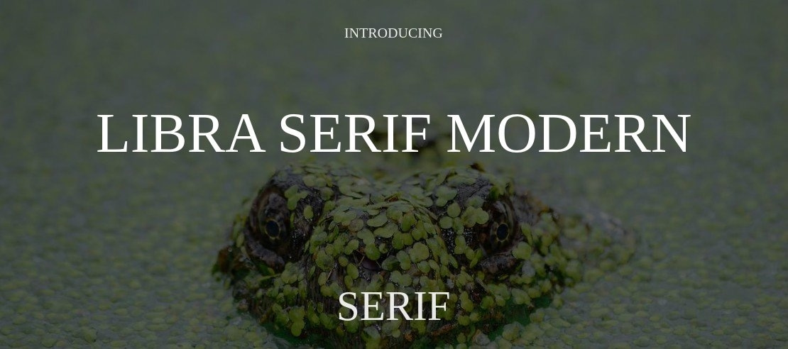 Libra Serif Modern Font Family