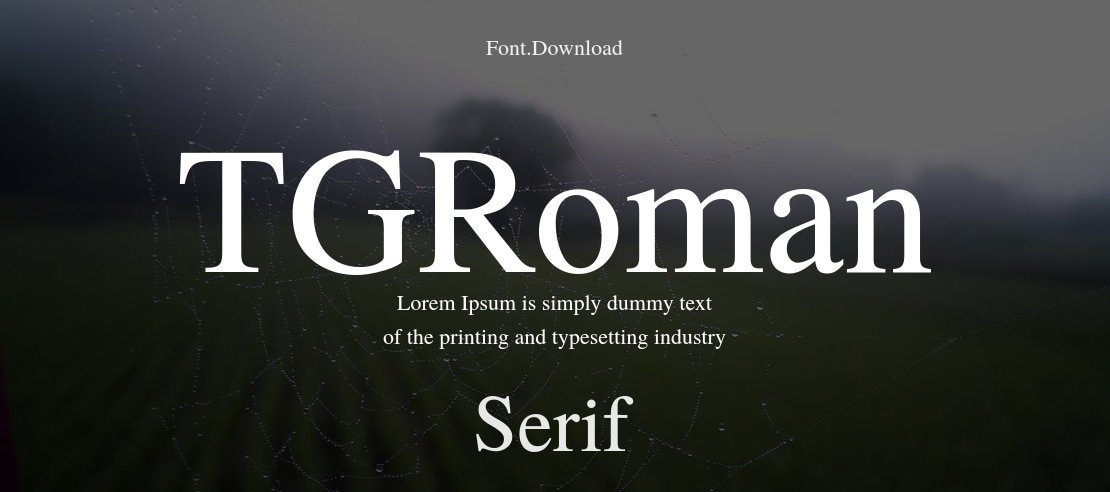 TGRoman Font Family