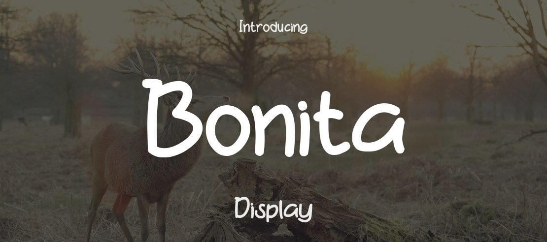 Bonita Font
