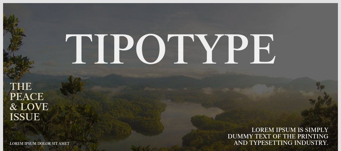 Tipotype Font Family