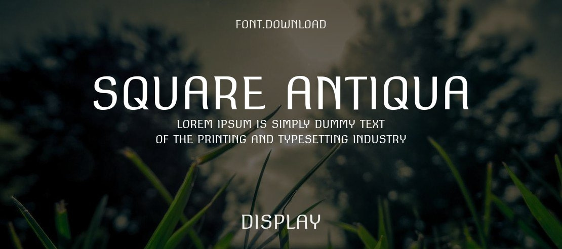 Square Antiqua Font Family