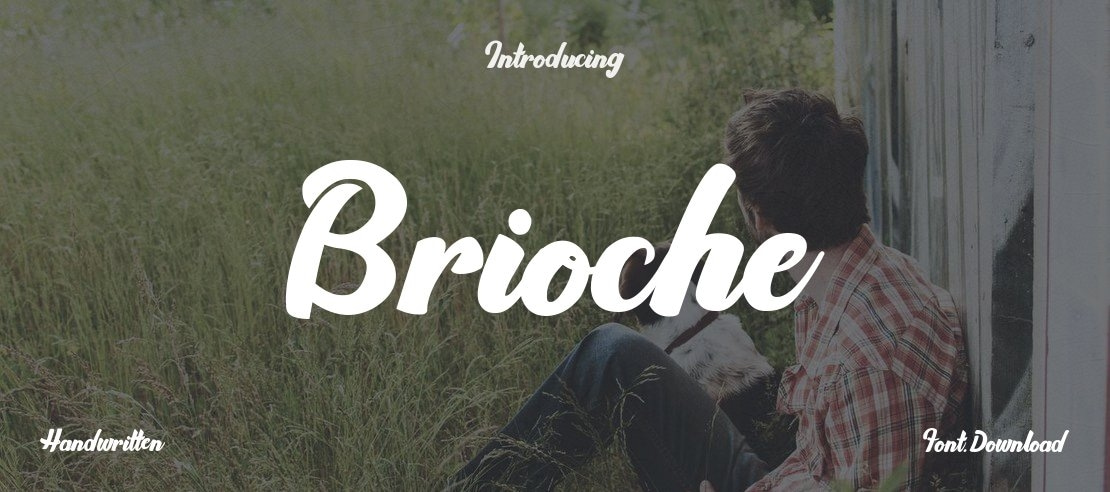 Brioche Font