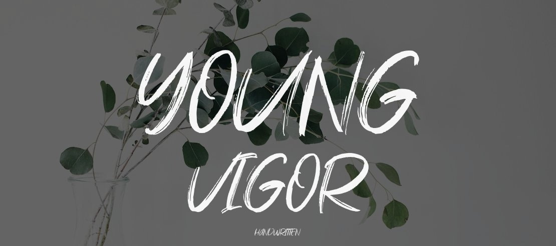 Young Vigor Font
