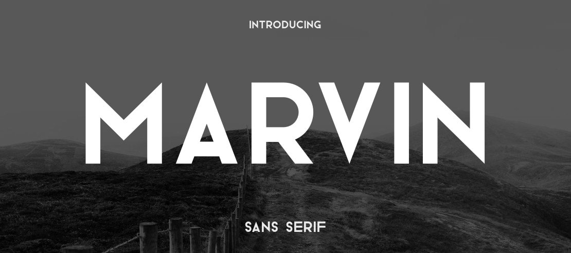 Marvin Font