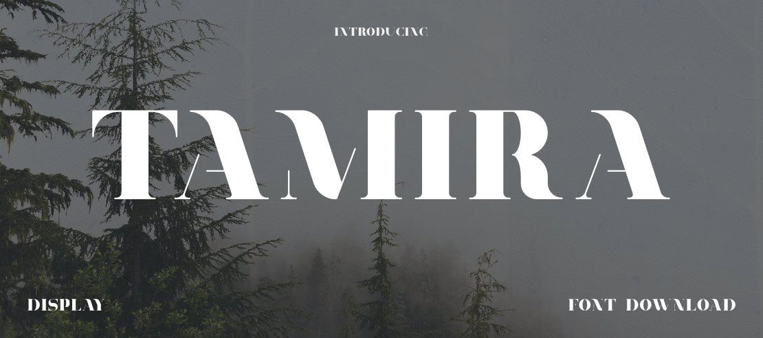 Tamira Font