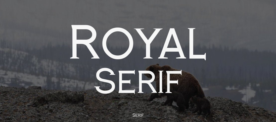 Royal Serif Font