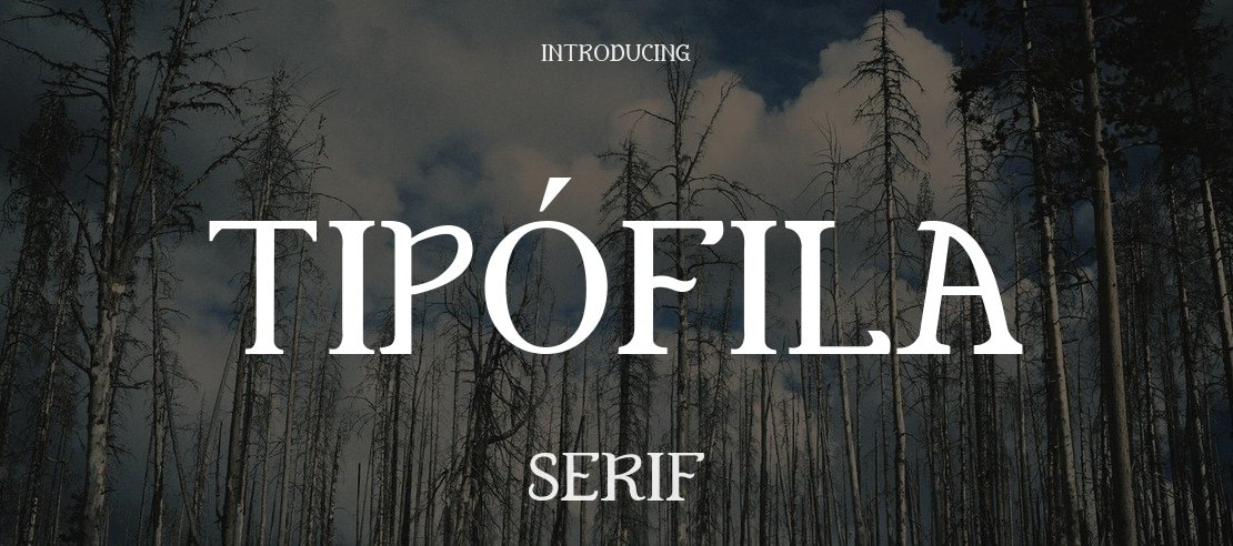 Tipófila Font