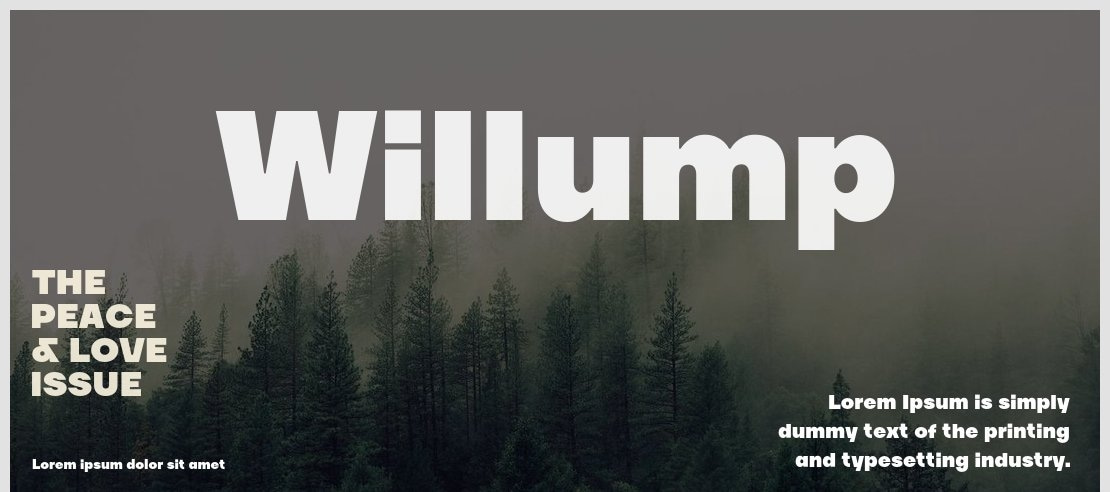 Willump Font