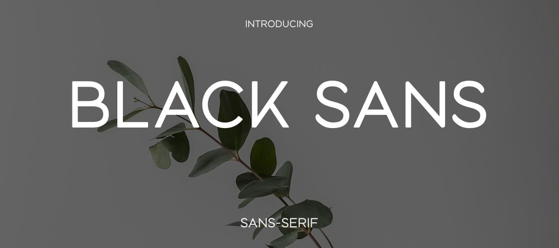 Black Sans Font Family