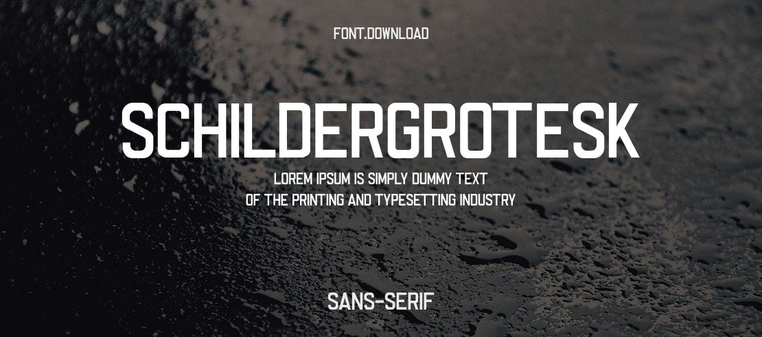 SchilderGrotesk Font